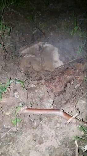 Comentarii opinii despre קפה תמרה