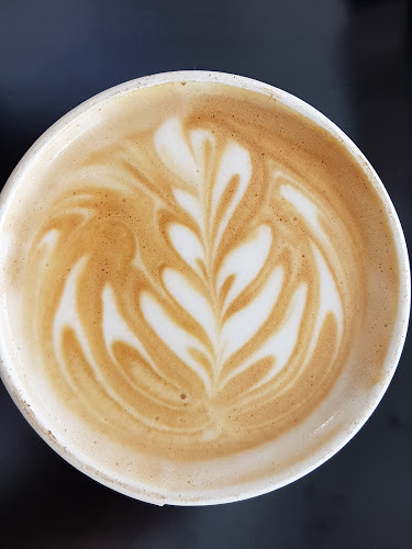 Comentarii opinii despre קונדטוריה נוגטין