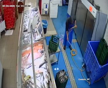 סופר דג צפת בע"מ