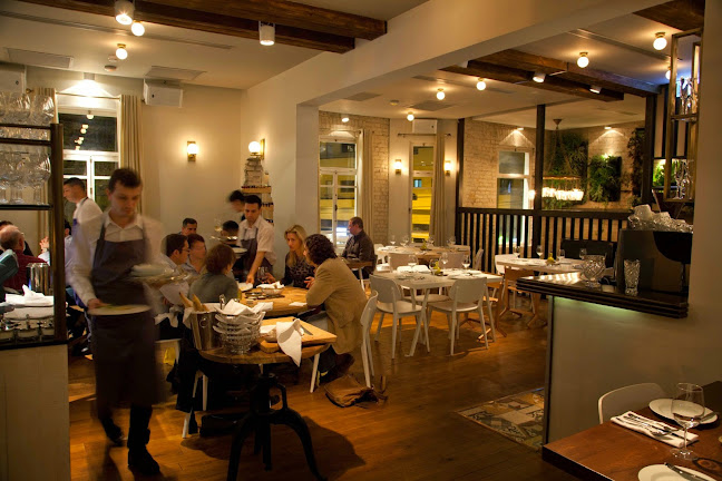 Comentarii opinii despre אריא