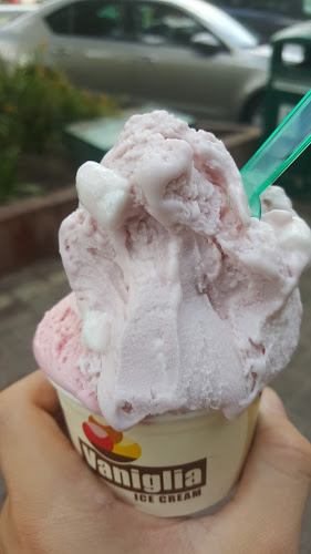 Comentarii opinii despre וניליה