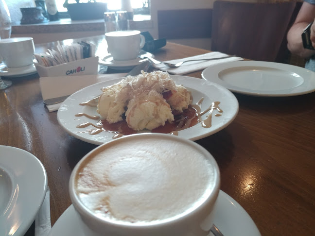 דולפין ים - Sea dolphin - ירושלים