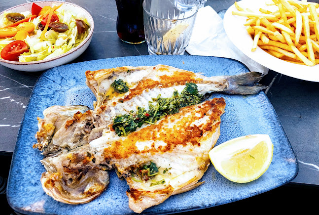 דוניס דגים ויין