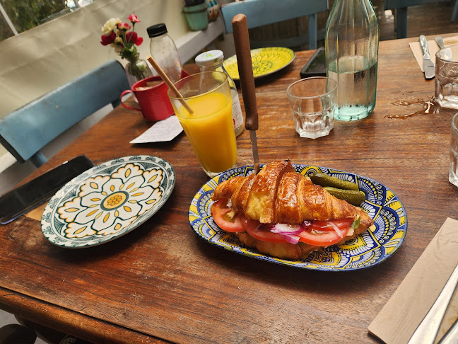 Comentarii opinii despre זריפה