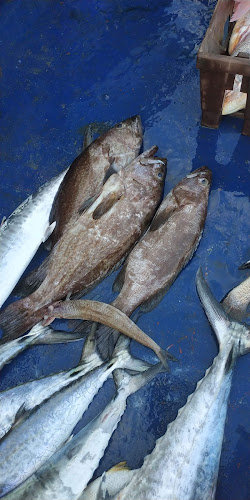 סעדה דגים בע״מ - הסעדה