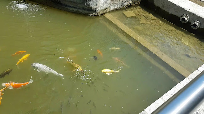 Comentarii opinii despre מסעדת BBB יגאל אלון