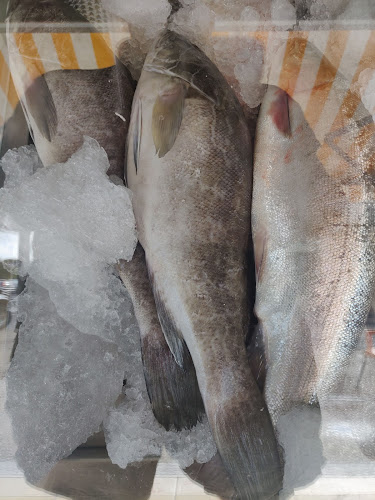 משה גוט לוין 2, חיפה