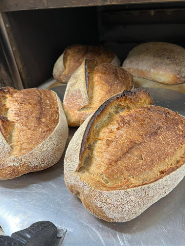 לחמני - אשקלון