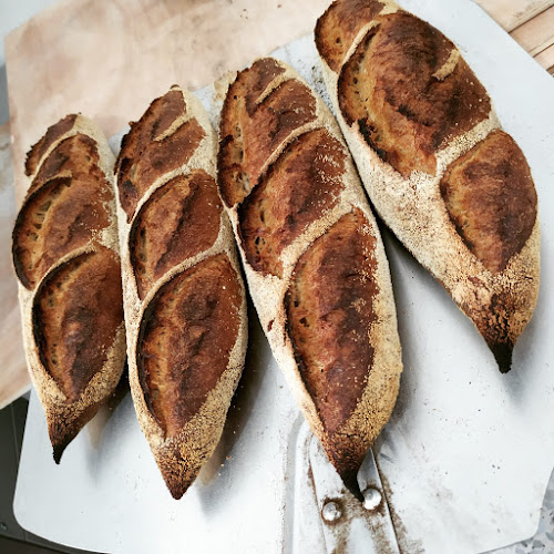 לחמני - אשקלון