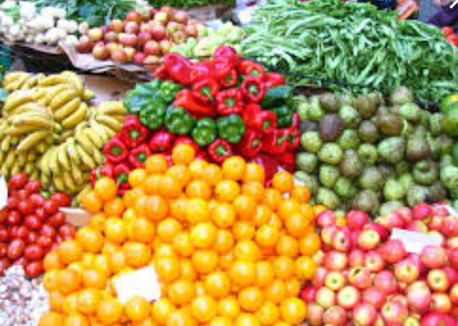 יבולי לוי בע"מ - ירושלים