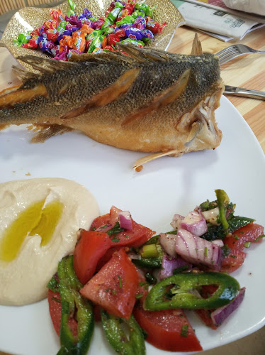 דגי האדי מיפו - טירה