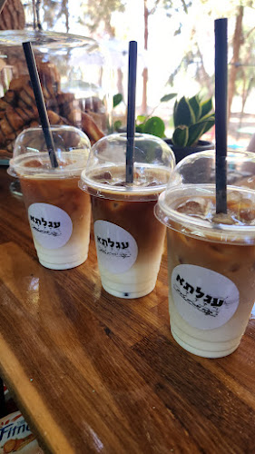 עגלתא - הסעדה