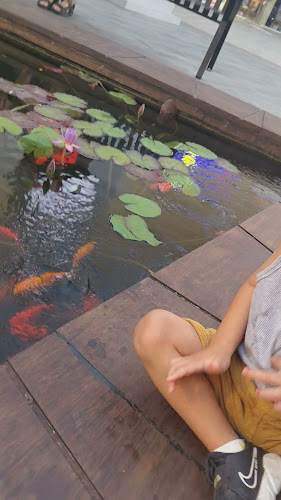 Opinii despre בורגר סאלון רגבה în רגבה - הסעדה