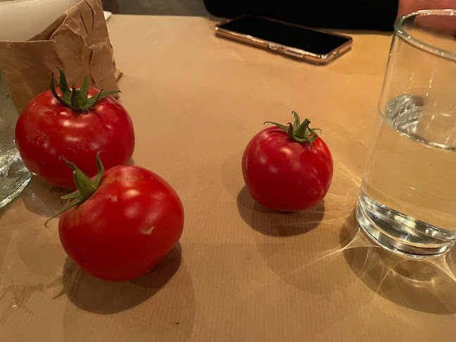 Comentarii opinii despre מלכה - Malka by Eyal Shani