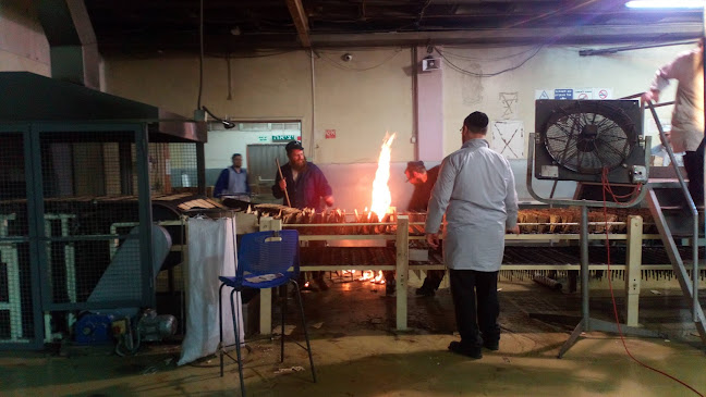 Opinii despre מצות יהודה în ירושלים - הסעדה