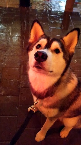 Comentarii opinii despre leny bar לני בר