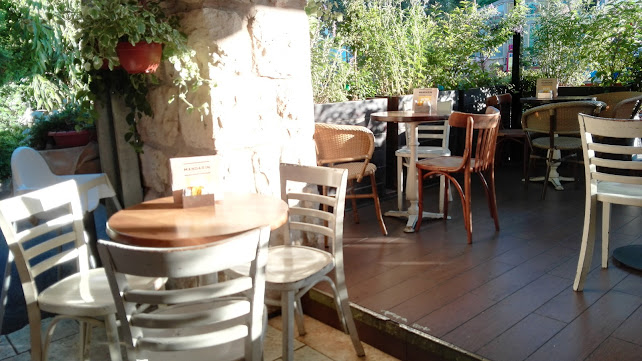 מנדרין צפרירים