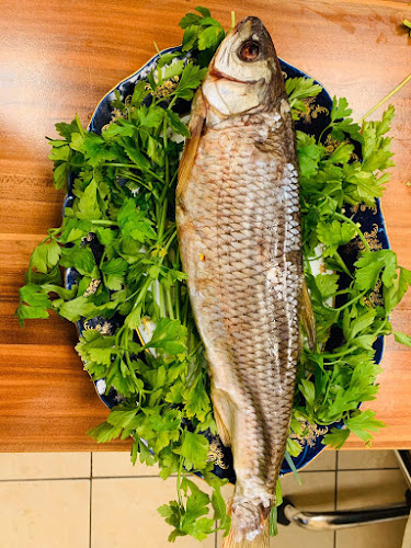 יקותיאל בהרב 4, חיפה