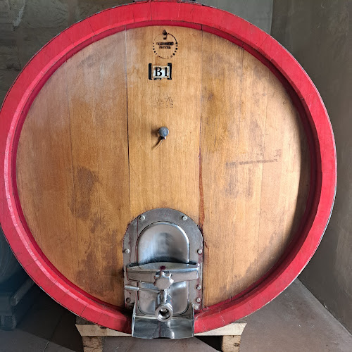 OBLASS WINE- יין אובלס