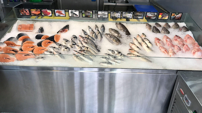 גבאי דגים ודייגים