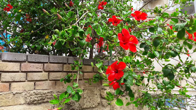 Comentarii opinii despre Aroma Espresso Bar ארומה אספרסו בר