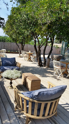 מגי ותולי - הסעדה