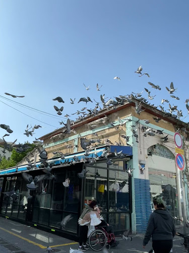 שוק הפשפשים - יפו