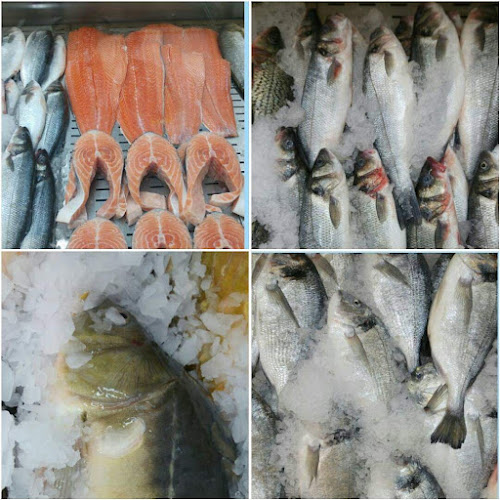 Opinii despre דגים זלאיט יוסף în תל אביב-יפו - הסעדה