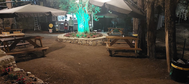 פודטראק בית זית (אתר הדינוזאורים)