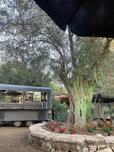 Opinii despre פודטראק בית זית (אתר הדינוזאורים) în בית זית - הסעדה