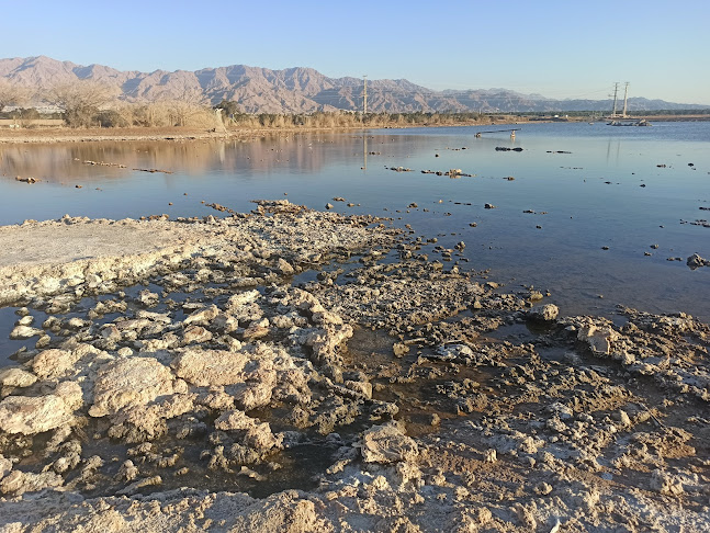 פלמינגו - אילת
