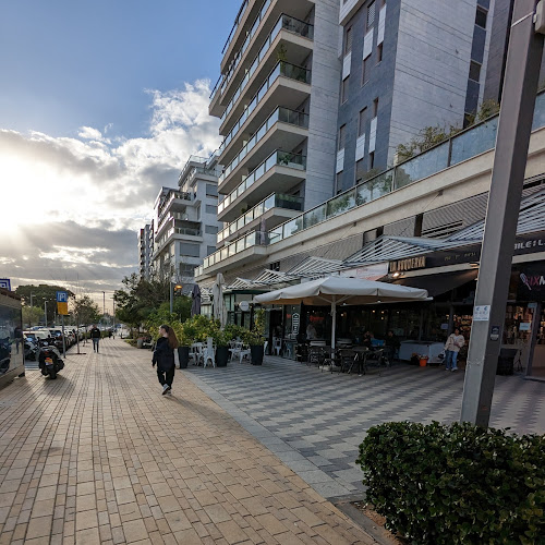 נתן אלתרמן 42, הרצליה