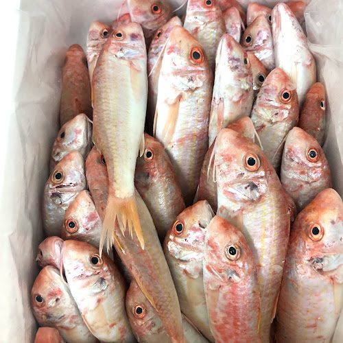 שירת הים - חנות דגים - בת ים - בת ים