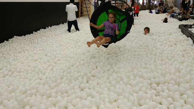 ג׳פניקה רגבה | JAPANIKA REGBA - רגבה