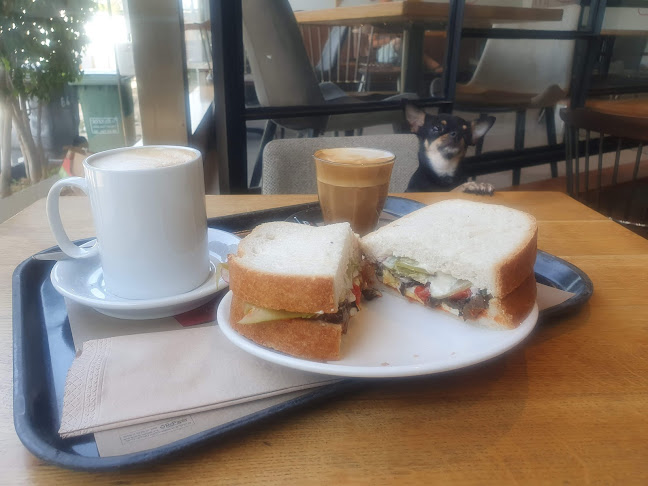 ארומה אספרסו בר - ראשון לציון