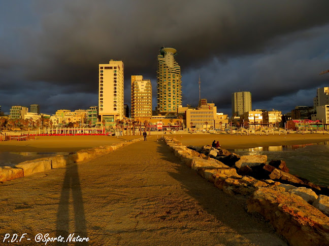 רציף הרברט סמואל 91, תל אביב-יפו