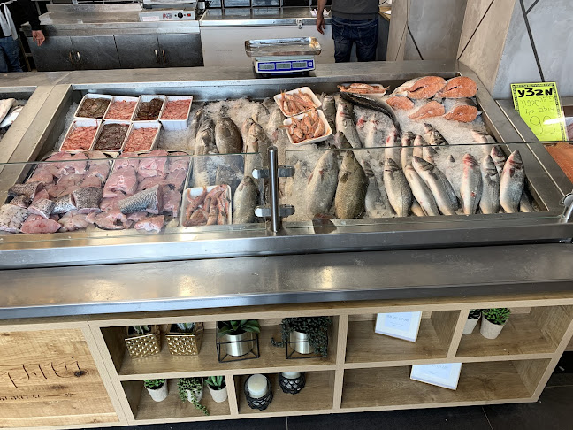 שוק הדגים - חנות - באר שבע