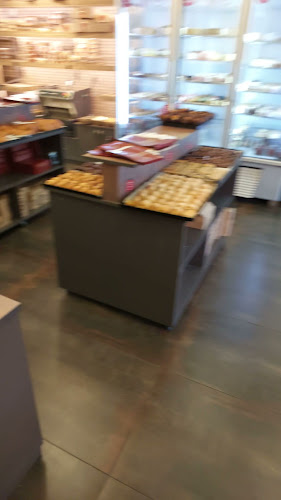 קונדטוריה נוגטין