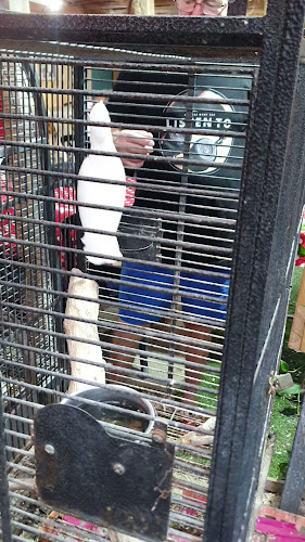 עולם החי והצומח