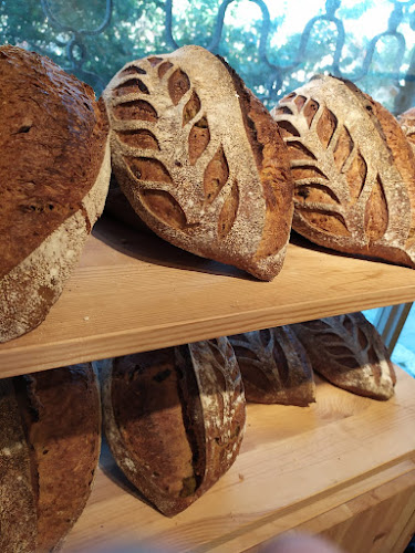 צה"ל 99, אשקלון