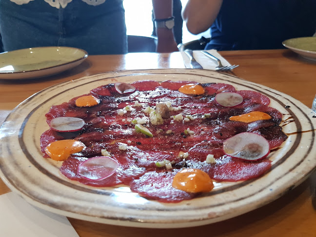 Comentarii opinii despre קמפניה