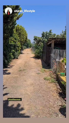 Opinii despre קפה בפטל - עגלת קפה וגלידה במרכז în ביתן אהרון - הסעדה