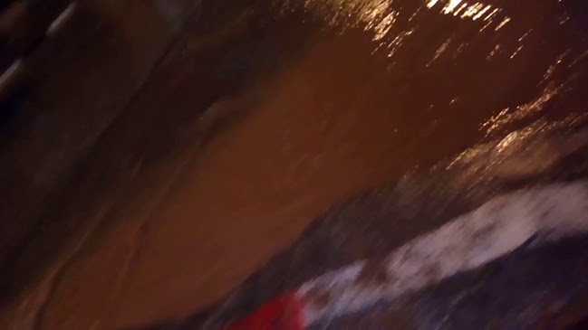 Opinii despre מאפיית הצבי în בני ברק - הסעדה