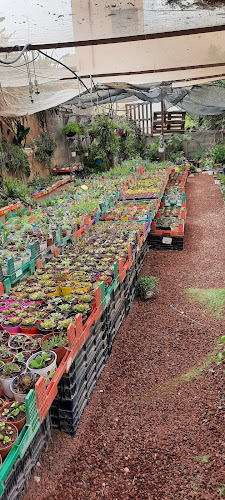 עולם החי והצומח - הסעדה