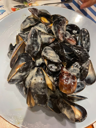 דרבי בר דגים - רמת אביב - הסעדה