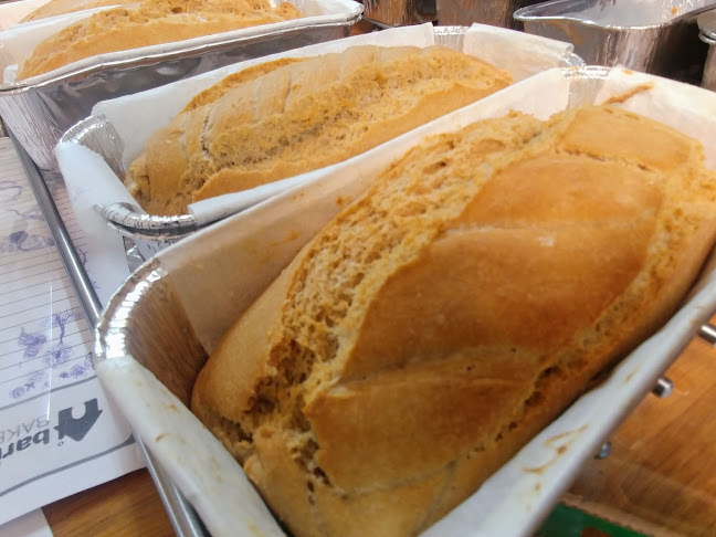 מיכה 3, כפר סבא