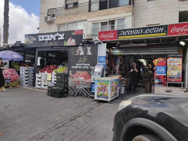 צ'אבס- דגי מעיין