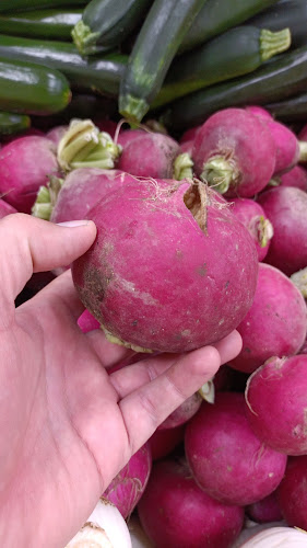 Opinii despre Рынок овощной în נהריה - הסעדה