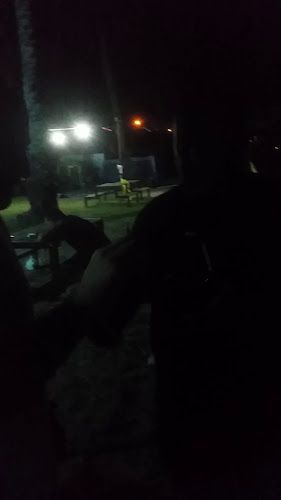 Opinii despre קוקיליז în טבריה - הסעדה