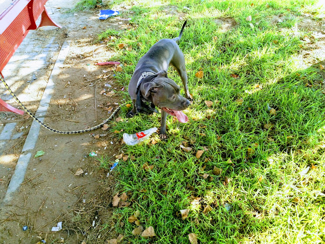 Opinii despre Meatzza în דימונה - הסעדה